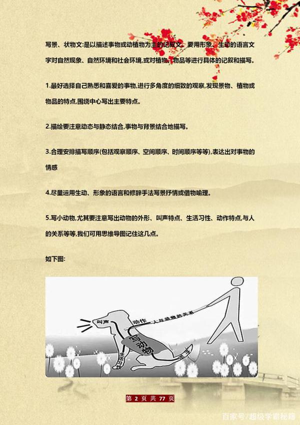 博士老爸有才:教儿子用“思维图”写作文!6年写作“一分不扣” 1
