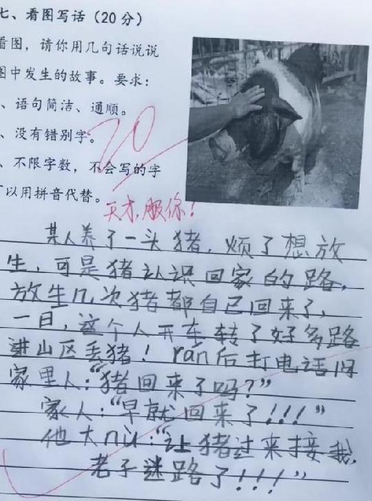 那些把老师笑趴的“奇葩”考场作文,网友:搞笑,你们是认真的