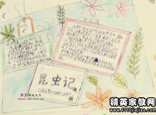 读《昆虫记》有感 五年级写读后感作文500字