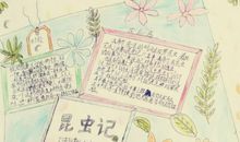 读《昆虫记》有感 五年级写读后感作文500字