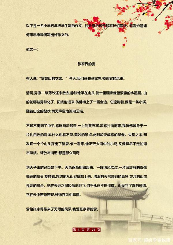 博士老爸有才:教儿子用“思维图”写作文!6年写作“一分不扣” 2