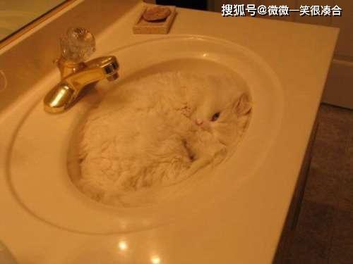 几部电影的读后感 5