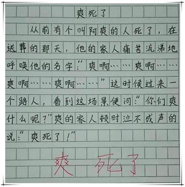 小学生作文获满分,却被网友称为“段子手”,老师:智商高出天际 1