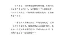 初三写景作文：夏日窗景_900字