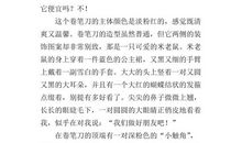 我心爱的火车 写玩具的作文300字