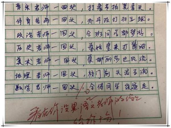 小学生作文获满分,却被网友称为“段子手”,老师:智商高出天际 2