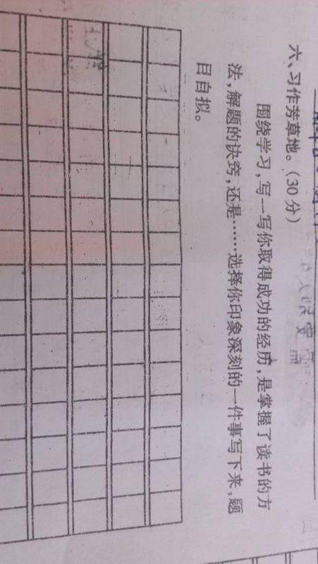 尺子的自诉 写自述的作文500字