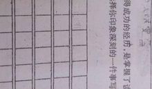 尺子的自诉 写自述的作文500字