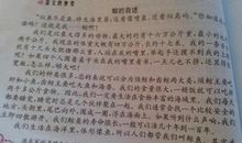 自动铅笔的自述 关于物品自述的作文300字