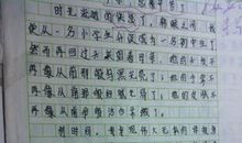 写给老师 感谢老师的作文300字
