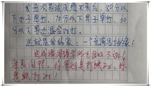 小学生作文获满分,却被网友称为“段子手”,老师:智商高出天际 4