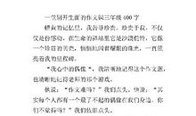 别开生面的品德课学生作文