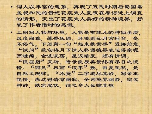 苏轼的魅力作文