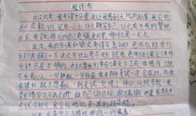 20年后350字作文