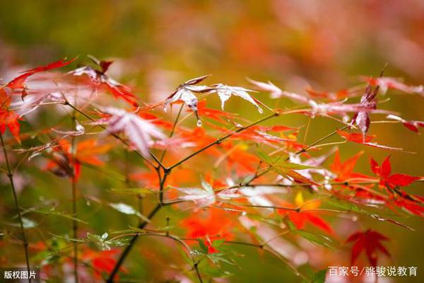 2019年北京卷高考作文:《文明的韧性》,与天地共存、与日月同光