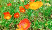 原创学生作文：《我和妈妈的幸福》