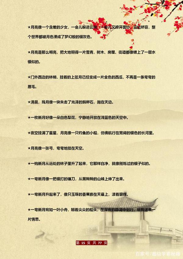 博士老爸有才:教儿子用“思维图”写作文!6年写作“一分不扣” 14