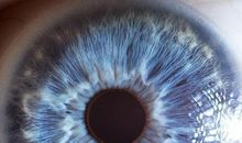 蓝色的眼睛作文