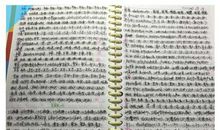 钓鱼 暑假叙事作文400字