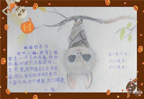 「战疫镜头」孩子们眼中的“疫情”丨兰州晨报绘画作文征集展② 5