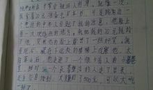陌生的朋友 写信的作文600字
