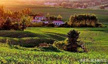 四年级作文：乡村交响曲