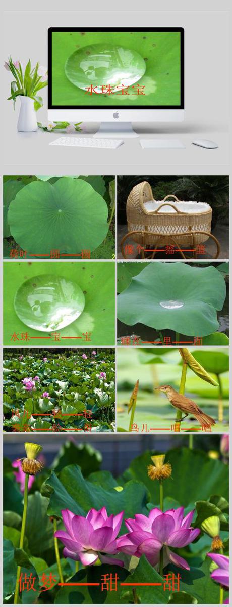 大班科学教案：水珠宝宝