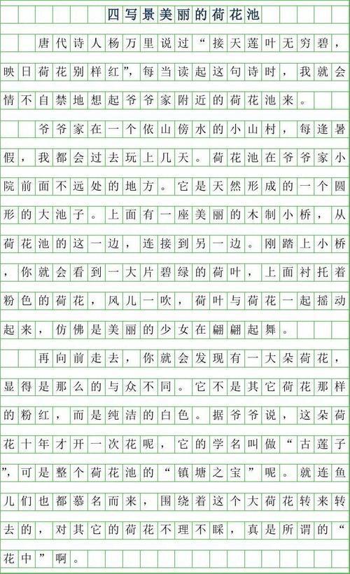 描写荷花池的作文7篇