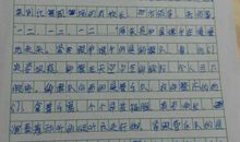 小学生介绍自己的作文400字