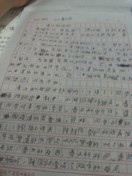 小学作文描写物的美文100句，作文素材够用