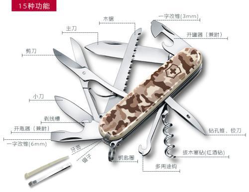 介绍猎光豹的作文350字