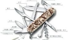 介绍猎光豹的作文350字