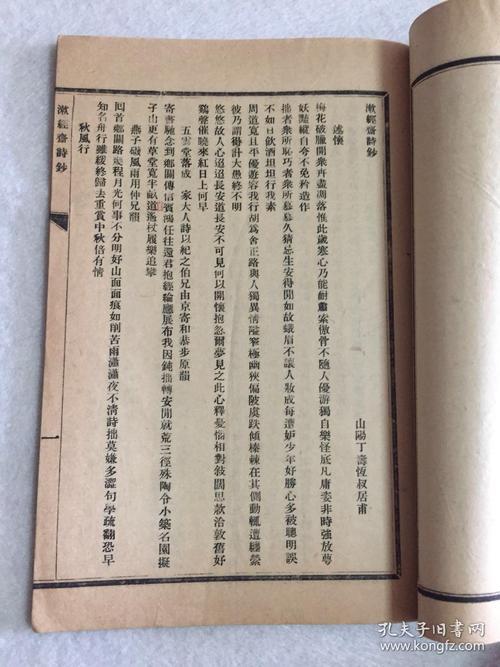 杂记――春雨 写景的日记250字