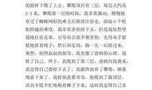 写做一次游戏作文