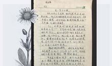 中学生作文与咖啡为友