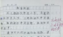 关于爱的作文500字5篇
