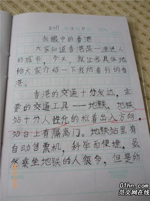 我是小书迷学生作文