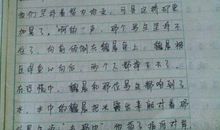 两瓣香橙的作文750字