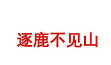 逐鹿的王子作文