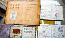 董伯记作文500字