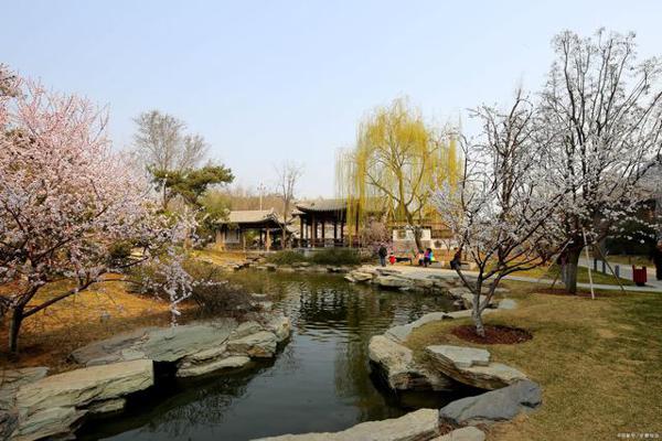高考实用文体作文备考:树立绿色理念,建设美丽家园 2