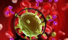 疫情面前，教你如何和孩子写作文