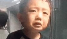 千万不要随便看小学生的作文