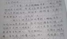 陈淋一中举行“疫情”主题作文竞赛