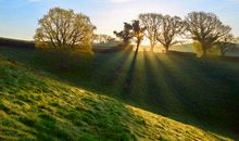 雅思G类小作文丢分原因分析