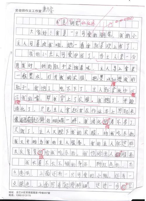 钢笔的自述 物品自述的作文400字