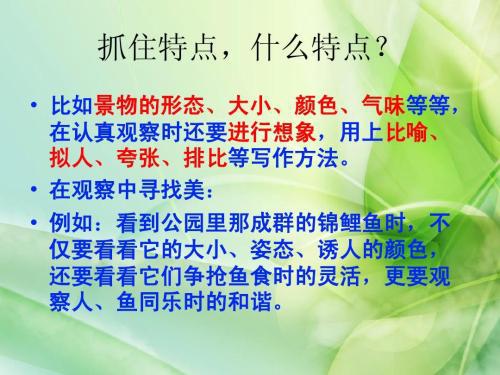 我心爱的锦鲤 小学介绍动物作文300字