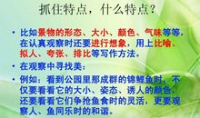 我心爱的锦鲤 小学介绍动物作文300字