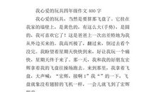 我心爱的套仔娃娃 四年级写玩具的作文400字