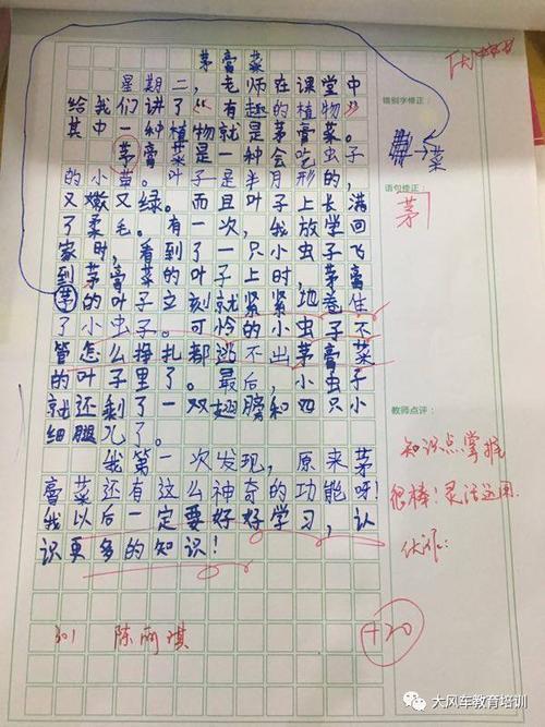 我心爱的小书包 四年级介绍物品作文500字